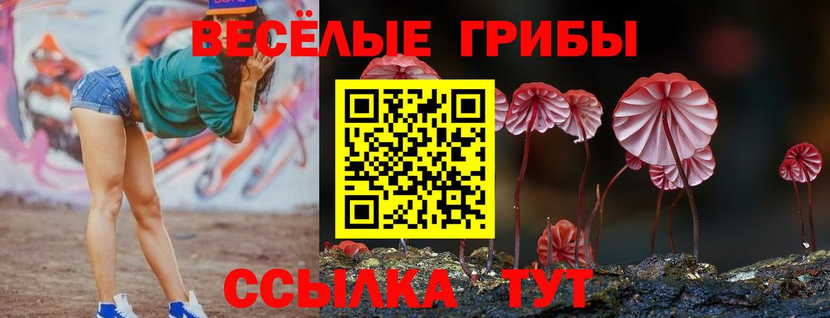 Галлюциногенные грибы Cubensis Кинель